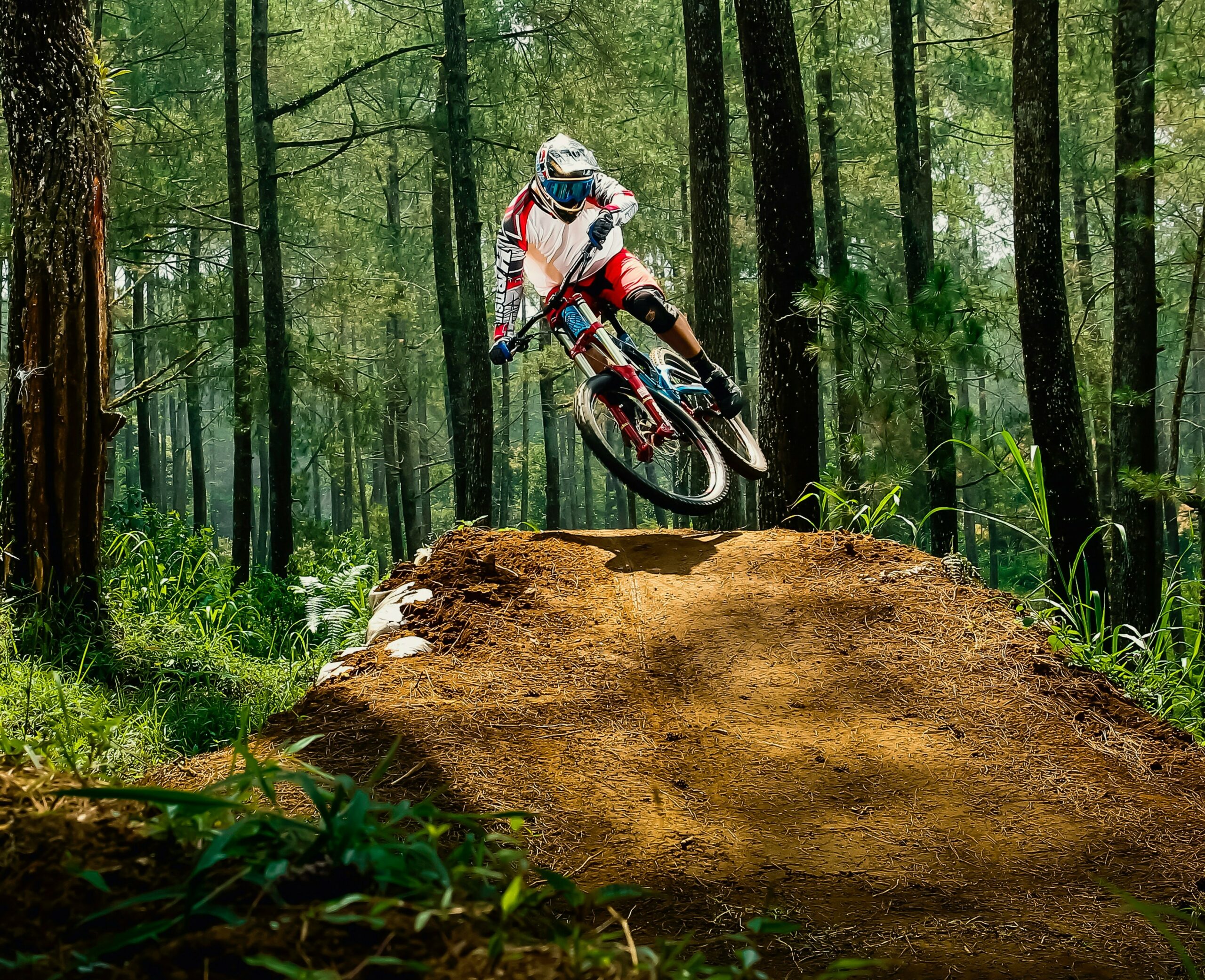 Mountain Bike in the Alps