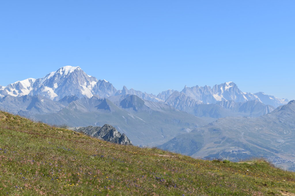 Été à Arc 1800, le Mont Blanc au-dessus d'une pente fleurie de gentianes