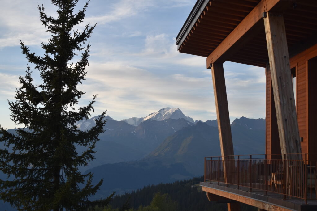 Le Mont Blanc encadré par un sapin et le balcon du chalet voisin vu depuis le balcon de l'appartement Les Monarques 1004